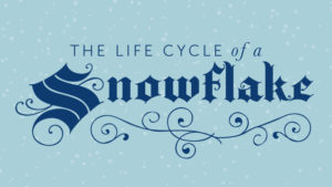 Snowflakes And The Water Cycle