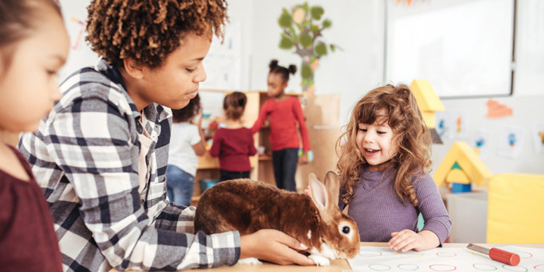 school visit with animals